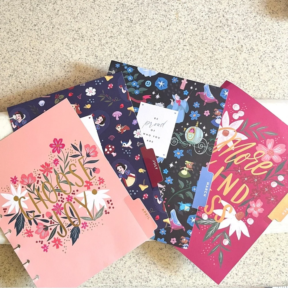 The Happy Planner Disney & Assorted Extras “Original Size” Planner Organize